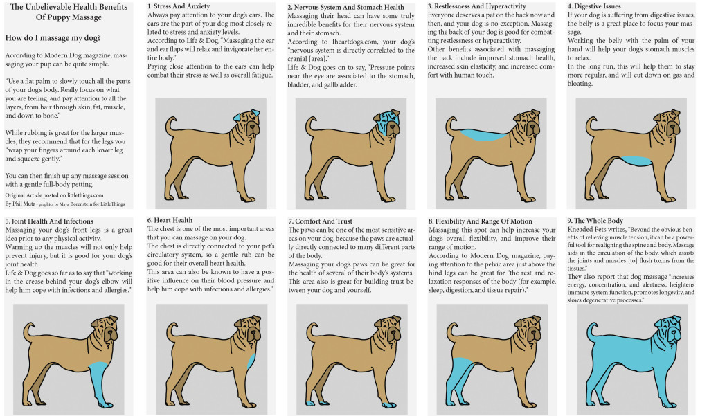 dog-massage-poster
