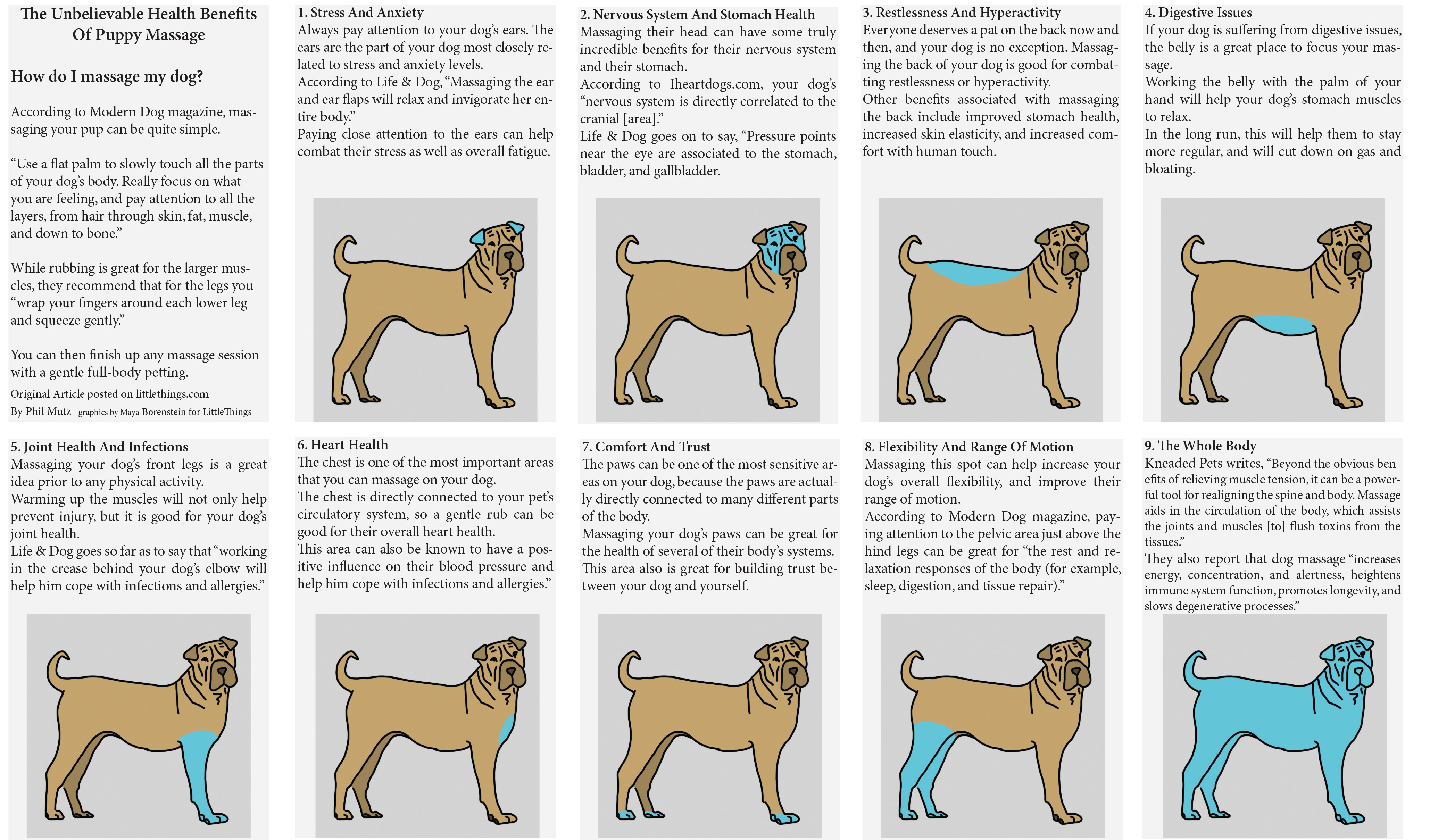 what are the different parts of a dog